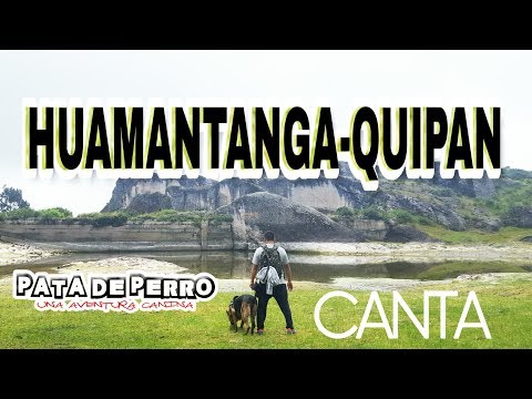 Huamantanga quipan- PATA DE PERRO una aventura canina