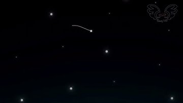 Sunflower MAP part 13&14 // Valentine’s day map FINISHED // Flipaclip