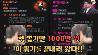마지막 펫 뽑기 절대 따라 하지 마세요. 마비노기의 과금은 맵습니다 [마비노기 모바일]