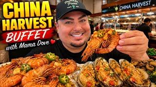 AYCE Garlic Jalapeño Shrimp • Update On Mama Dove’s Doctor Appointment @BigGuyAppetite