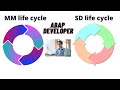 Explain mm life cycle  explain sd life cycle  interview questions for abapers