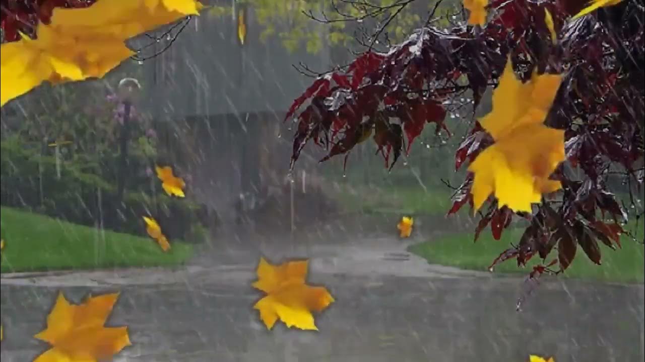 Видео дождя без слов.