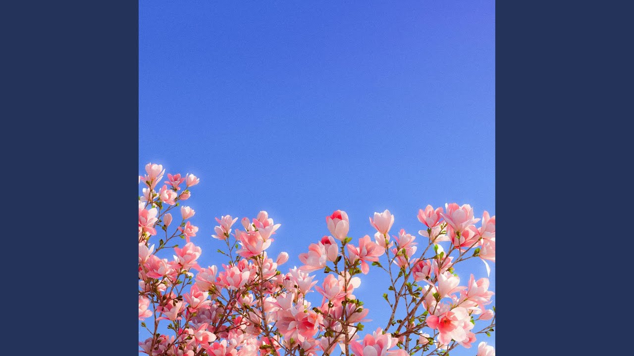 Watch flowers on YouTube Watch flowers on YouTube