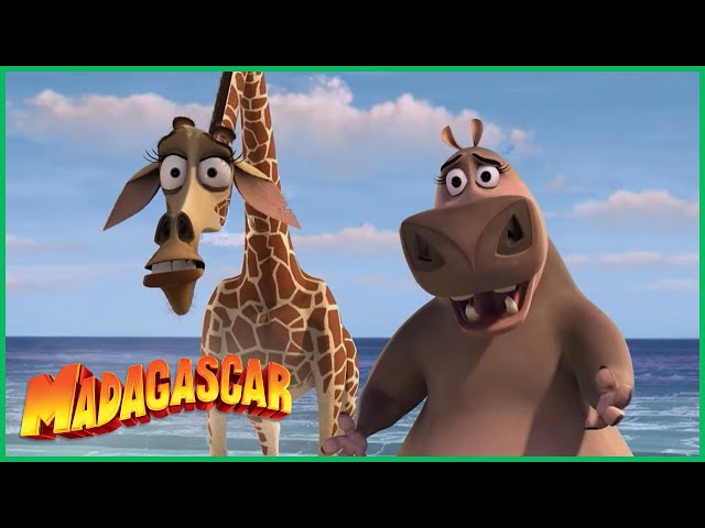 DreamWorks Madagascar em Português, Momentos engraçados de Gloria