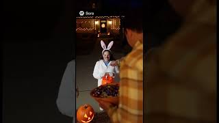 Happy Halloween Month #bunny #halloween