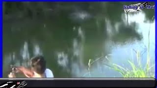 How to catch Snakehead Fish in Thailand l Snakehead Fish l snakehead fish attack jump frog lure ep6