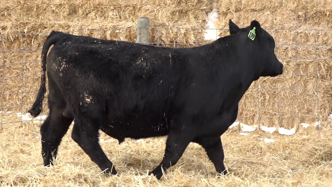 camera iphone 8 plus apk 199