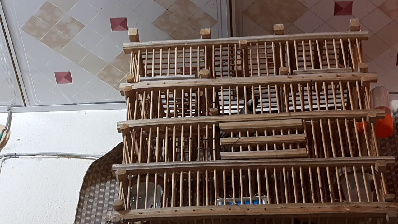 ابي فاو الشمالي