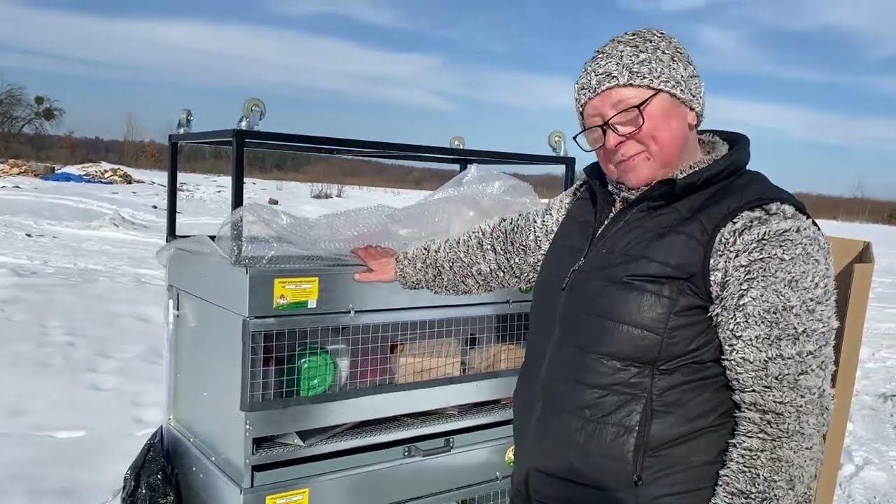 Моя мрія здійснилась, придбала брудер від Мініфермера: огляд і перші враження.