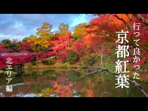 【京都紅葉名所】行って良かった紅葉名所北エリア編/永観堂/高台寺/平安神宮/永観堂ライトアップ