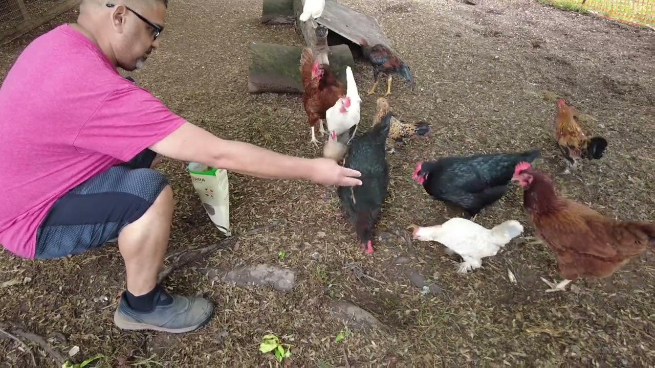 Trying out Grub Terra Fly Larvae.