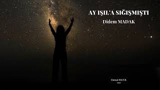 Didem Madak | Ay Işıla Sığışmıştı Resimi