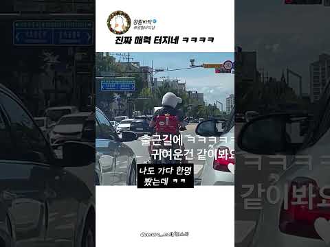880만명이 폭소한 출근길 토끼 <strong>헬멧</strong> ㅋㅋㅋㅋ