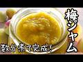 【梅ジャム】意外に簡単・冷凍保存で一年中楽しめる！