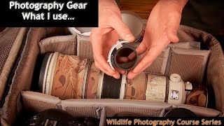 The Camera Gear I Use For Wildlife Photography - Wild Photo Adventures