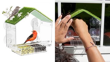 Window Clear Acrylic Bird Feeder Review