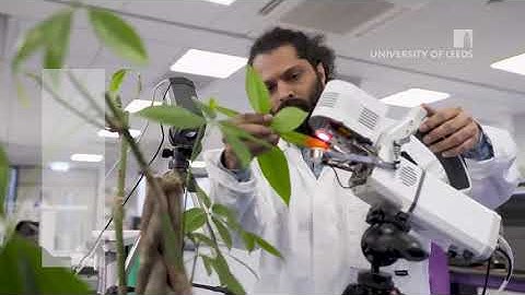 Which degree is right for you? - Faculty of Environment - University of Leeds