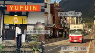유후인 가족 여행 🍛 | 현지인 추천 맛집 갓포사토우, 미슐랭 카레우동 Kikusuke, 한정 애플파이 | 에노키야 료칸 | 후쿠오카 VLOG EP.1