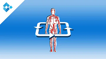 Was sind die Ursachen der Arteriosklerose?