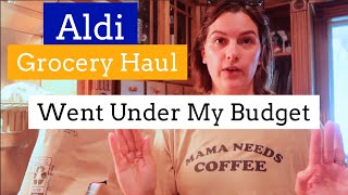 WEEKLY GROCERY HAUL FAMILY OF 6 FOR LESS THAN $150 | ALDI GROCERY HAUL ON A BUDGET