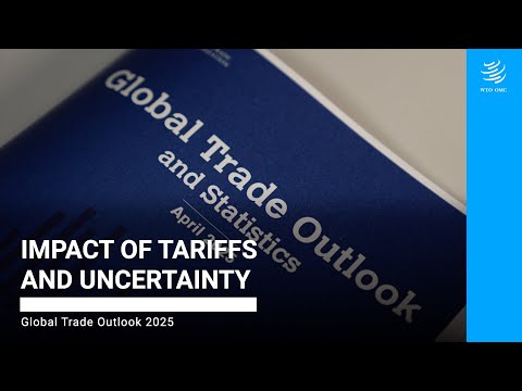 Impact of tariffs and uncertainty