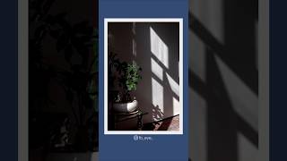 Look as photographers 17/1000 Look as photographers 17/1000