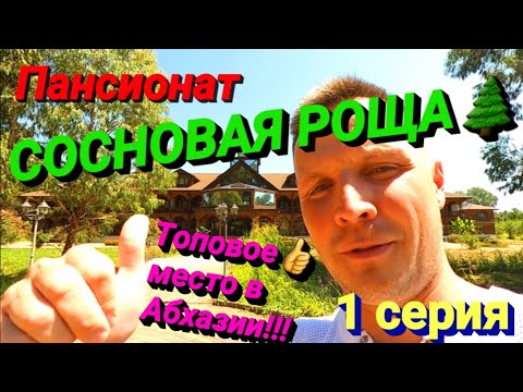 Абхазия 2020. Пицунда. Открытие границы. Обзор. Цены. Пансионат Сосновая роща.