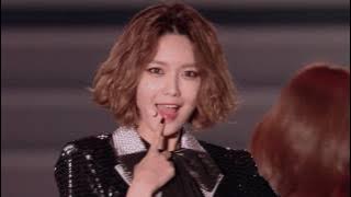 Girls' Generation - Japan 4th Tour 2015 - Phantasia