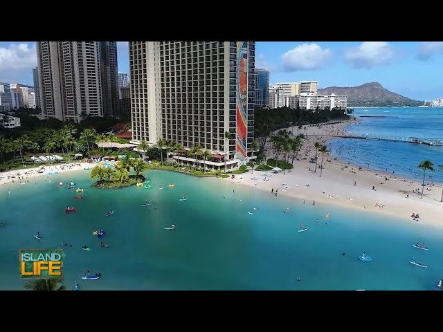 Live the HI Life: Hilton Hawaiian Village Waikiki Beach Resort