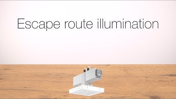 Quick & easy: Escape route illumination | LINEDO | Continuous line luminaire system