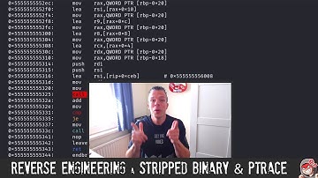 ED96 - Reverse Engineering Stripped Binary & Ptrace