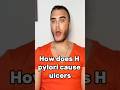 “How does H. pylori cause ulcers?”