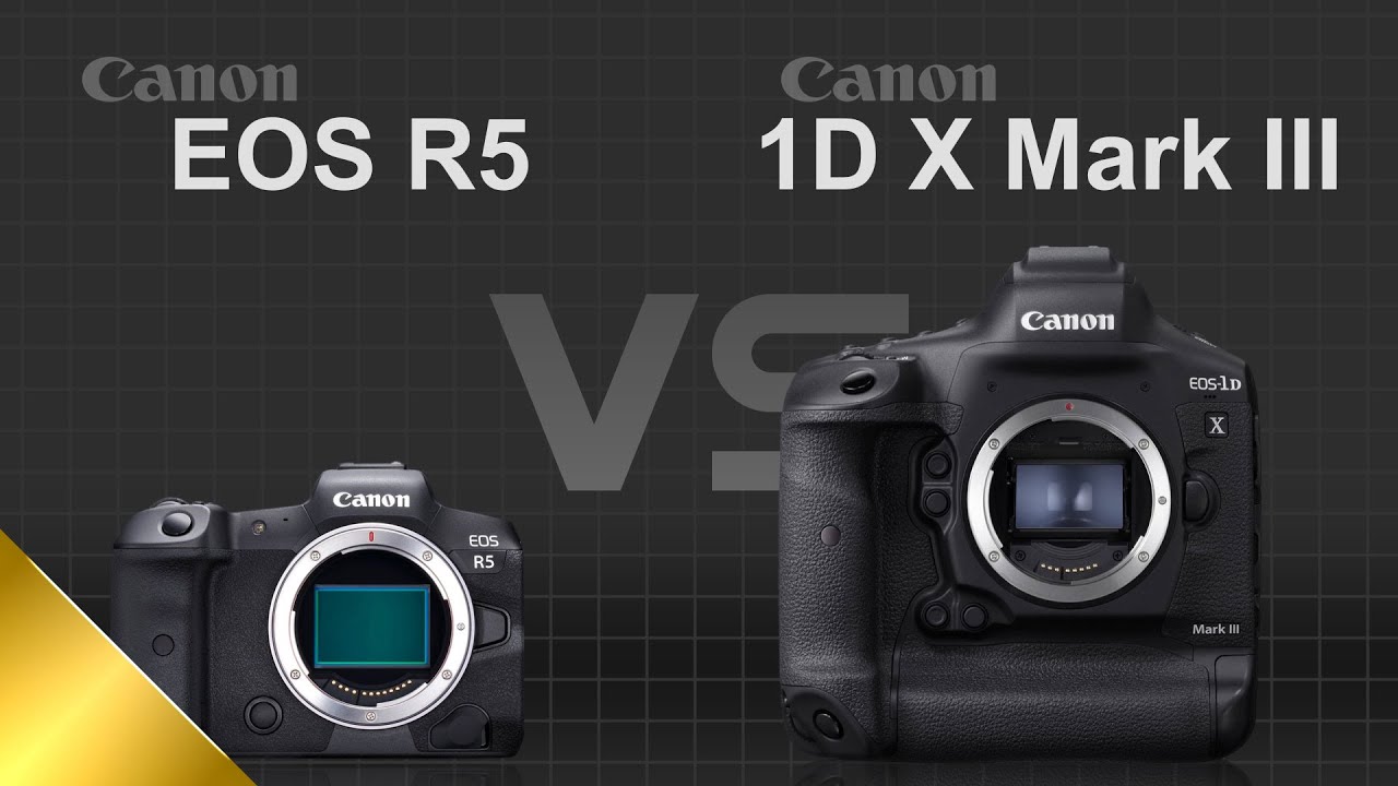 Canon Eos R5 Vs Canon Eos 1d X Mark Iii Youtube