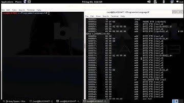Reverse Engineer (Kali Linux)