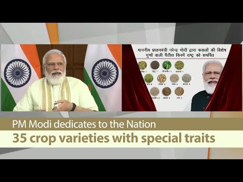 PM Modi dedicates to the Nation 35 crop varieties with special traits in Raipur, Chhattisgarh | PMO