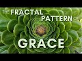 Doing this will help you to be receptive to gods grace  chris mastropietro  jonathan pageau