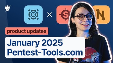 January 2025 on Pentest-Tools.com: Critical findings & new detections