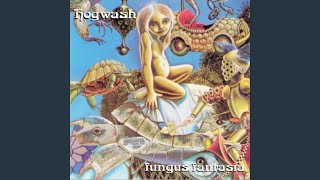 Watch Hogwash Short Stupid Sad Song video