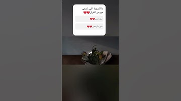 @قران كريم اللهم صل وسلم وبارك على سيدنا محمد وعلى آله وصحبه أجمعين