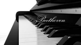 Video thumbnail of "Arthur Rubinstein - Beethoven Piano Sonata No. 8, Op. 13 "Pathétique", I"