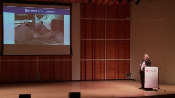 Harnessing Hippocampal Neurogenesis to Improve Cognition and Mood