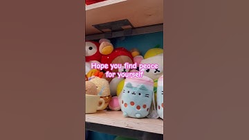 A new plushie won’t fill the void #sanrio #rilakkuma #plushies