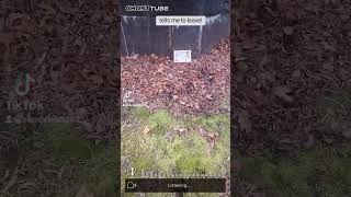 Says Leave In French Rogers Island Fort Edward Ny Ghosttube Experiment