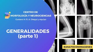 💀🦴: Generalidades (Parte 1)🙌