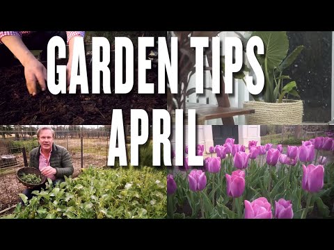 Video: Dubnové zahradnické úkoly – tipy pro údržbu jižní centrální zahrady