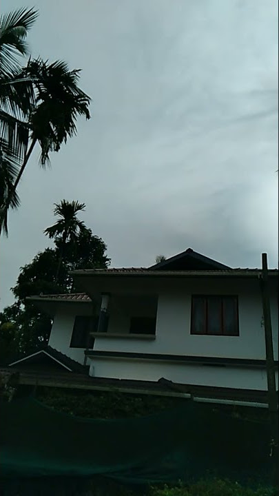 adipol vidyo