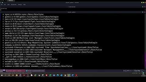 Demonstrating Web Application Vulnerabilities - Cyberseclabs Shock