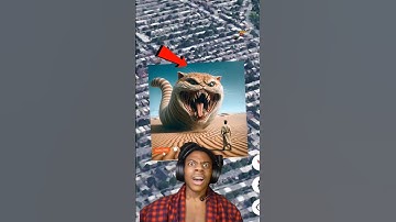 😶‍🌫️😱I Found Cat Cought in Google Maps and Google Earth #shorts #universalskt #googleearth #mapping