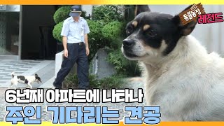[TV 동물농장 레전드] ‘6년째 아파트를 떠돌며 주인 기다리는 바둑이’ 풀버전 다시보기 I TV동물농장 (Animal Farm) | SBS Story