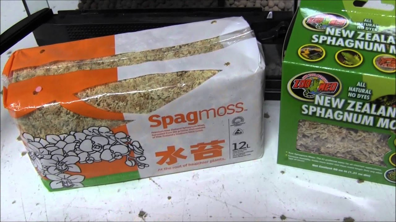 Spagmoss for Carnivorous Plants - Besgrow - At the Root of Healthier Plants